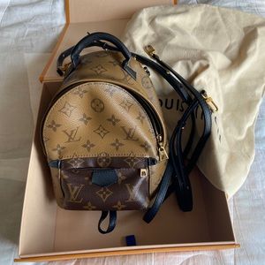 Louis Vuitton Mini Palm Springs Backpack in Reverse Monogram